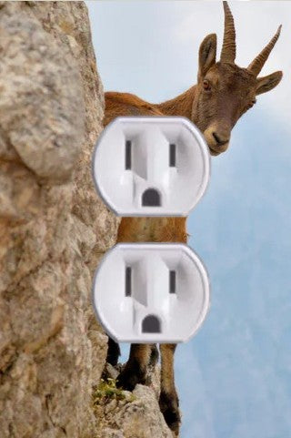 Animal Outlet Covers With Built In LED Nightlights And Child Safety Plugs.