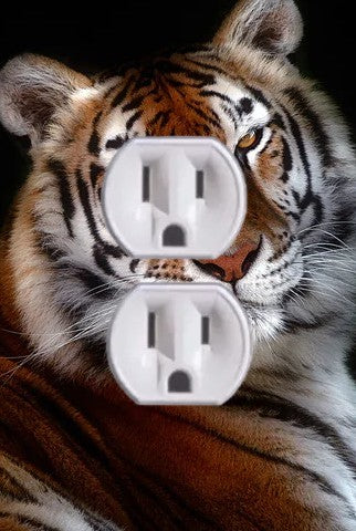 Animal Outlet Covers With Built In LED Nightlights And Child Safety Plugs.