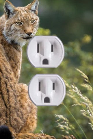 Animal Outlet Covers With Built In LED Nightlights And Child Safety Plugs.