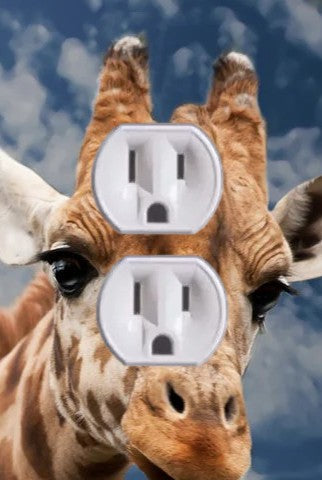 Animal Outlet Covers With Built In LED Nightlights And Child Safety Plugs.