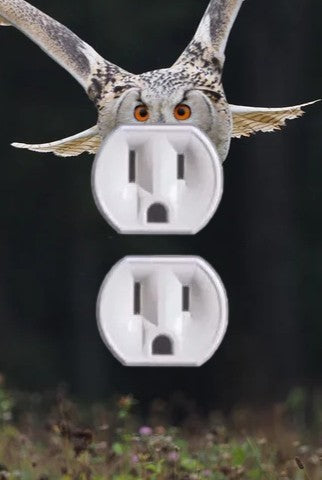 Animal Outlet Covers With Built In LED Nightlights And Child Safety Plugs.