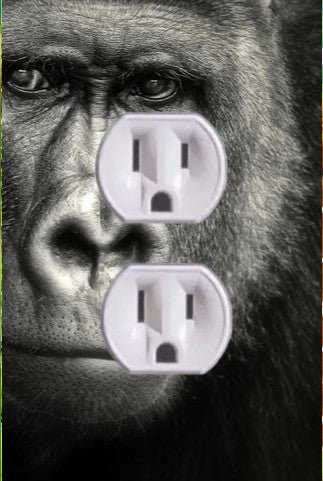 Animal Outlet Covers With Built In LED Nightlights And Child Safety Plugs.
