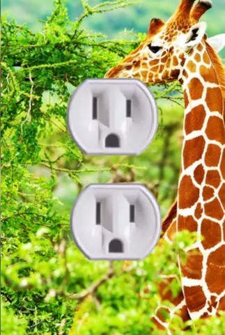 Animal Outlet Covers With Built In LED Nightlights And Child Safety Plugs.