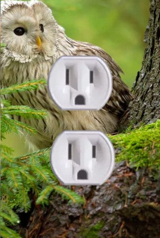 Animal Outlet Covers With Built In LED Nightlights And Child Safety Plugs.