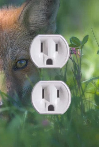 Animal Outlet Covers With Built In LED Nightlights And Child Safety Plugs.