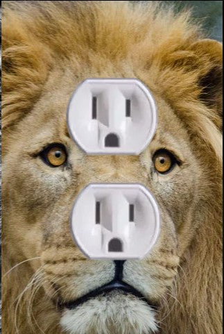 Animal Outlet Covers With Built In LED Nightlights And Child Safety Plugs.
