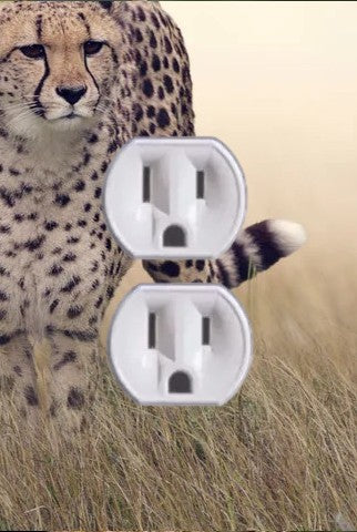 Animal Outlet Covers With Built In LED Nightlights And Child Safety Plugs.